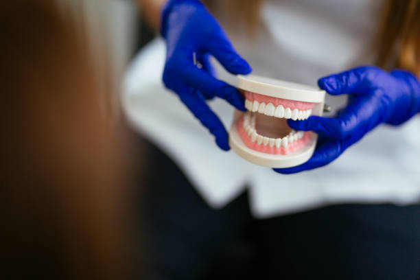 Professional Holistic Dental Care Services in Plentywood, MT